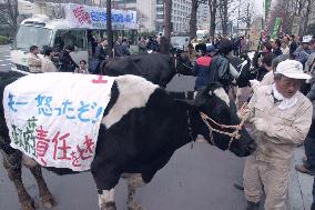 Farmers demand gov't compensation over mad cow